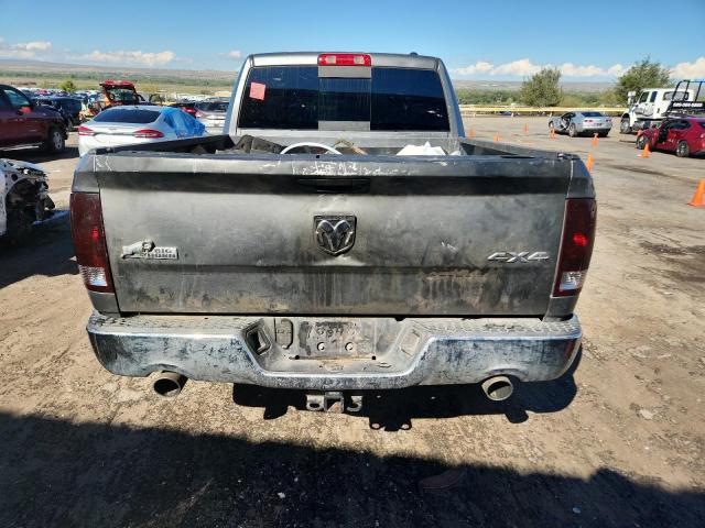 1D7RV1GT6AS188338 - 2010 DODGE RAM 1500 SILVER photo 6