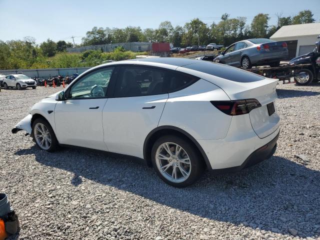 5YJYGDEE4MF294570 - 2021 TESLA MODEL Y Blanco foto 2