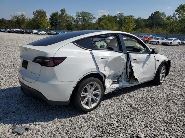 5YJYGDEE4MF294570 - 2021 TESLA MODEL Y Blanco foto 3