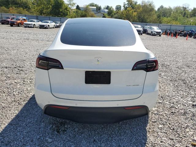 5YJYGDEE4MF294570 - 2021 TESLA MODEL Y Blanco foto 6