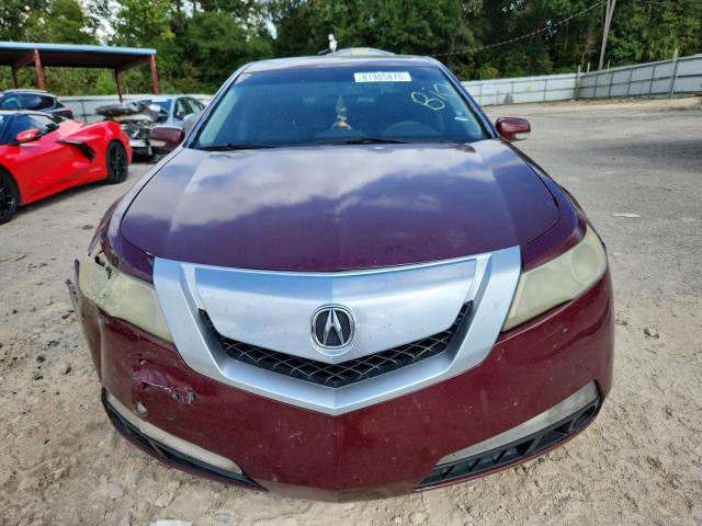 19UUA86229A016747 - 2009 ACURA TL 栗色 照片 5