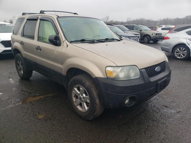 1FMCU93137KA24071 - 2007 FORD ESCAPE XLT GOLD photo 4