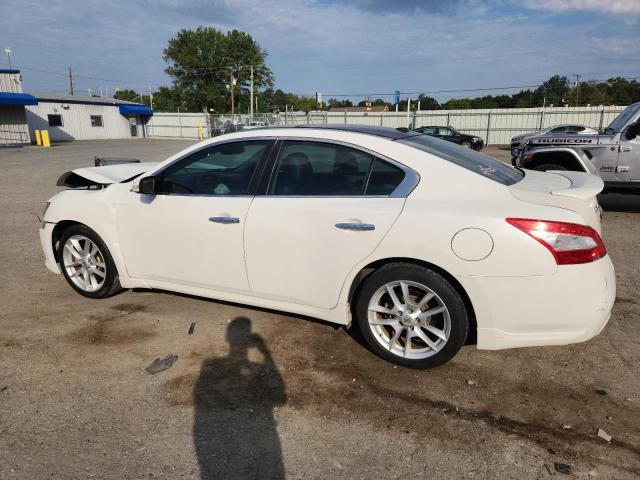 1N4AA5AP5BC846772 - 2011 NISSAN MAXIMA S Սպիտակ լուսանկար 2