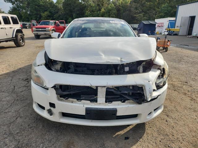 1N4AA5AP5BC846772 - 2011 NISSAN MAXIMA S Սպիտակ լուսանկար 5