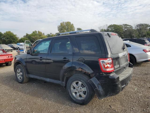 1FMCU9EG4AKC43887 - 2010 FORD ESCAPE LIMITED Noir photo 2
