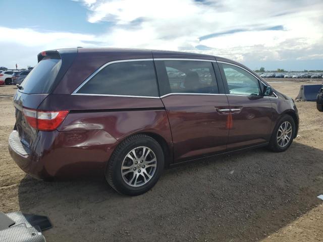 5FNRL5H68BB069382 - 2011 HONDA ODYSSEY EXL Марун фото 3