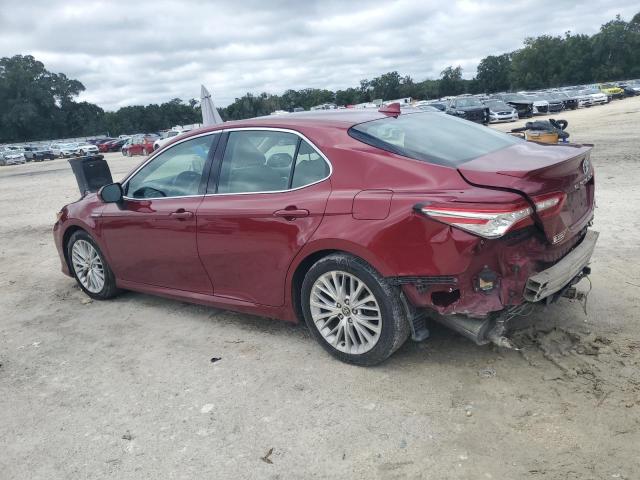 4T1F31AK6LU013691 - 2020 TOYOTA CAMRY XLE წითელი ფოტო 2