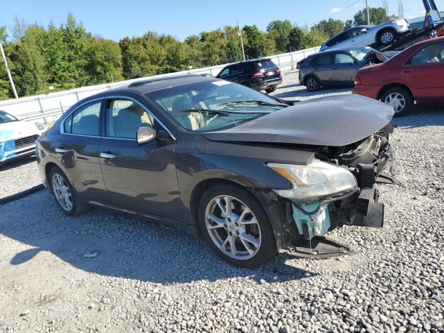 1N4AA5AP9EC476950 - 2014 NISSAN MAXIMA S BROWN photo 4