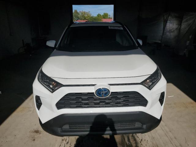 2T3RWRFV2LW091267 - 2020 TOYOTA RAV4 XLE Ağ foto 5