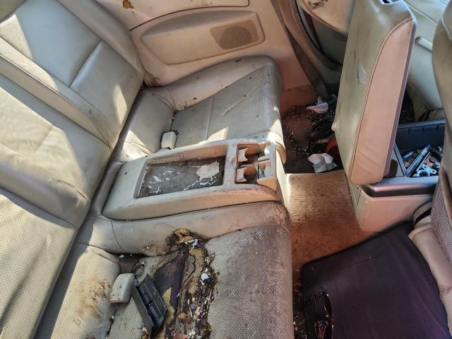 JNKCV54E64M827113 - 2004 INFINITI G35 RED photo 10