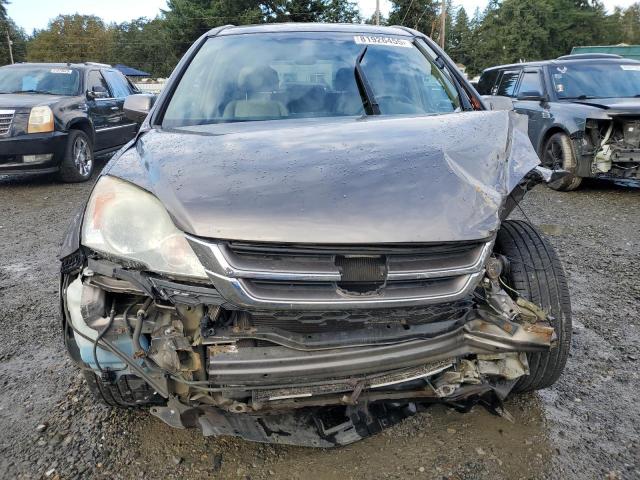 5J6RE4H77AL057565 - 2010 HONDA CR-V EXL GRAY photo 5