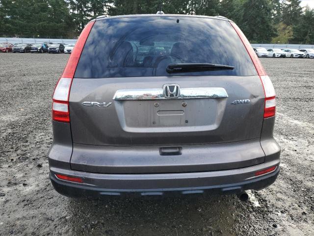 5J6RE4H77AL057565 - 2010 HONDA CR-V EXL GRAY photo 6