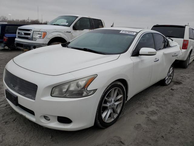 1N4AA51E49C803887 - 2009 NISSAN MAXIMA S WHITE photo 1