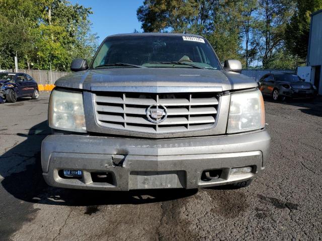1GYEK63N32R287000 - 2002 CADILLAC ESCALADE LUXURY Բեժ լուսանկար 5