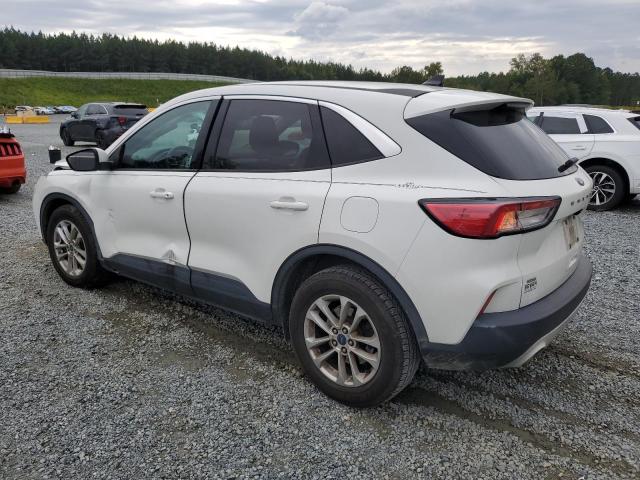 1FMCU0G65LUA46184 - 2020 FORD ESCAPE SE 白色 照片 2