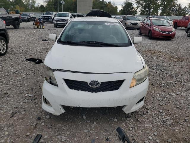 JTDBL40E89J027425 - 2009 TOYOTA COROLLA BASE 白色 照片 5