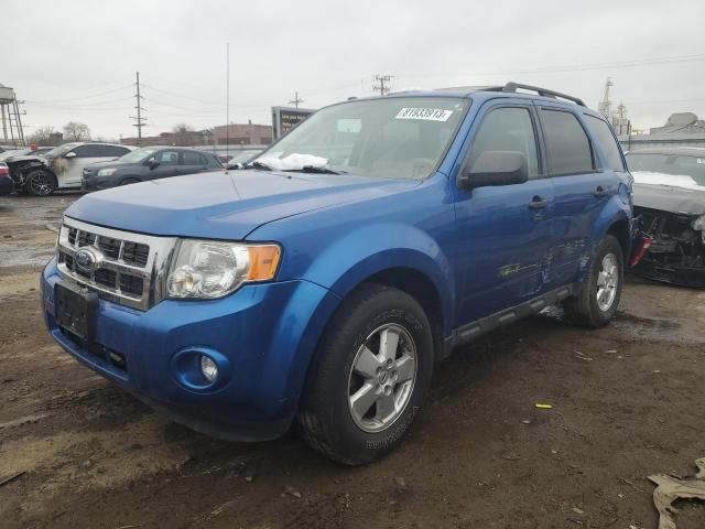 1FMCU0DG8CKA63134 - 2012 FORD ESCAPE XLT BLUE photo 1