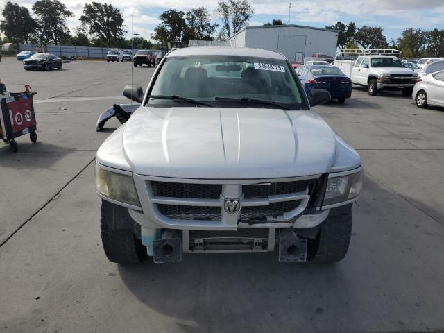 1D7RE3GK1BS676200 - 2011 DODGE DAKOTA SLT 银色 照片 5