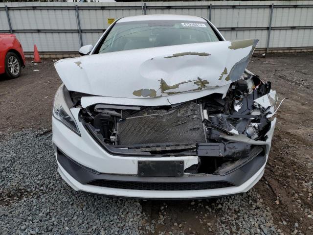 5NPE34AF2FH094742 - 2015 HYUNDAI SONATA SPORT WHITE photo 5
