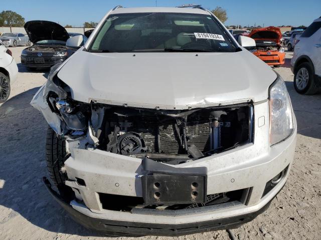 3GYFNDE3XDS629201 - 2013 CADILLAC SRX PERFORMANCE COLLECTION Blanc photo 5