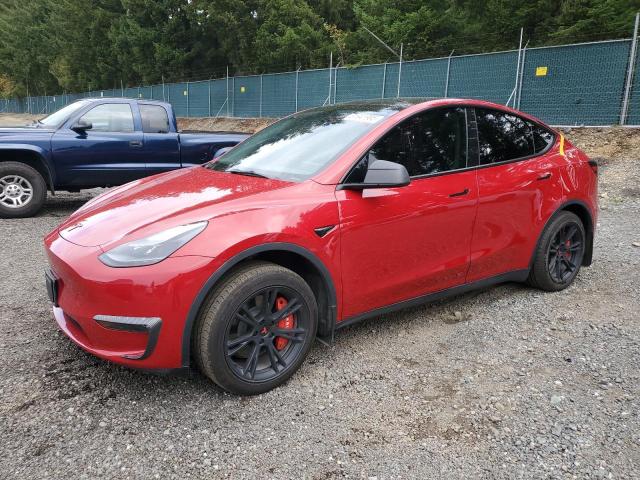 2023 TESLA MODEL Y, 