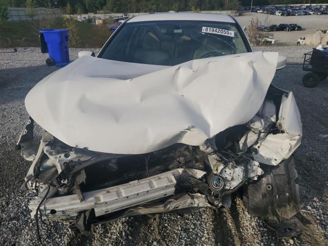 1HGCR2F39HA053836 - 2017 HONDA ACCORD LX 白色 照片 5