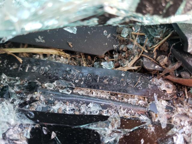 2T1BU4EE3DC125062 - 2013 TOYOTA COROLLA BASE Boz foto 12