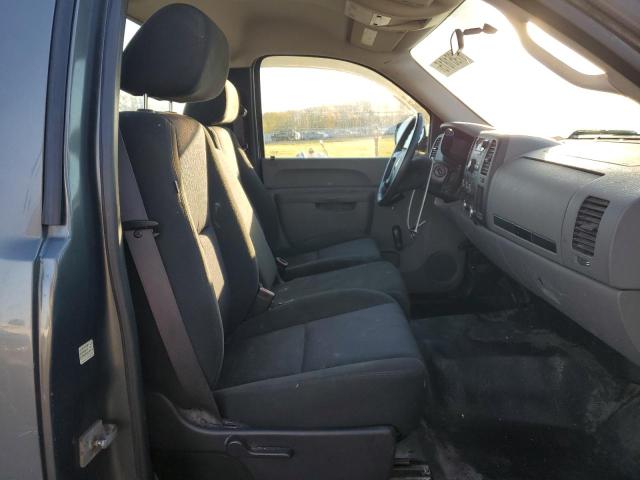 1GCNCPEX3BZ278904 - 2011 CHEVROLET SILVERADO C1500 Boz foto 10