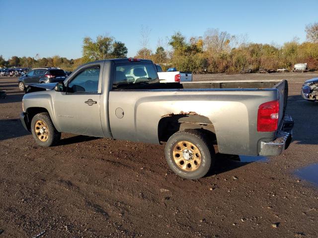 1GCNCPEX3BZ278904 - 2011 CHEVROLET SILVERADO C1500 Boz foto 2