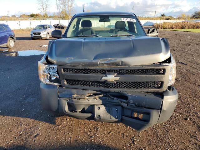 1GCNCPEX3BZ278904 - 2011 CHEVROLET SILVERADO C1500 Boz foto 5
