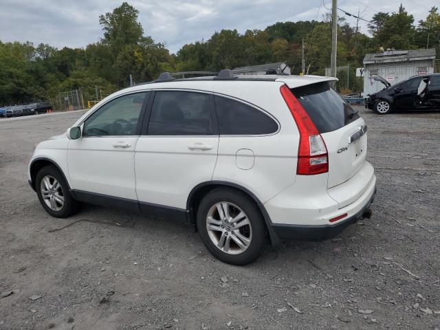 JHLRE4H73BC026288 - 2011 HONDA CR-V EXL WHITE photo 2