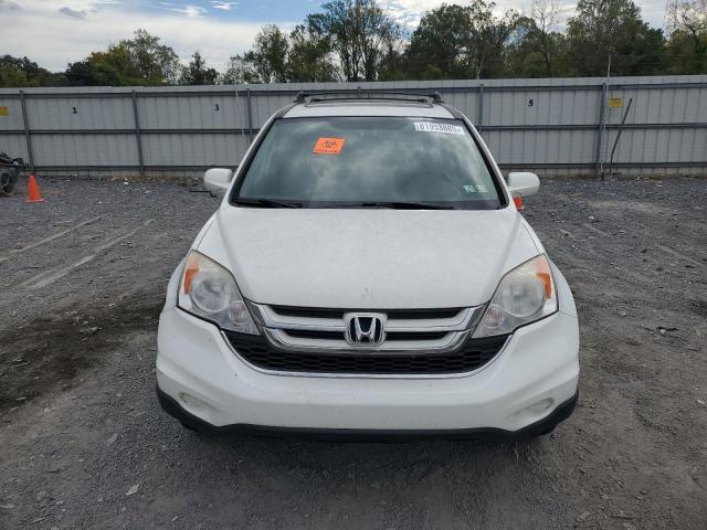 JHLRE4H73BC026288 - 2011 HONDA CR-V EXL WHITE photo 5