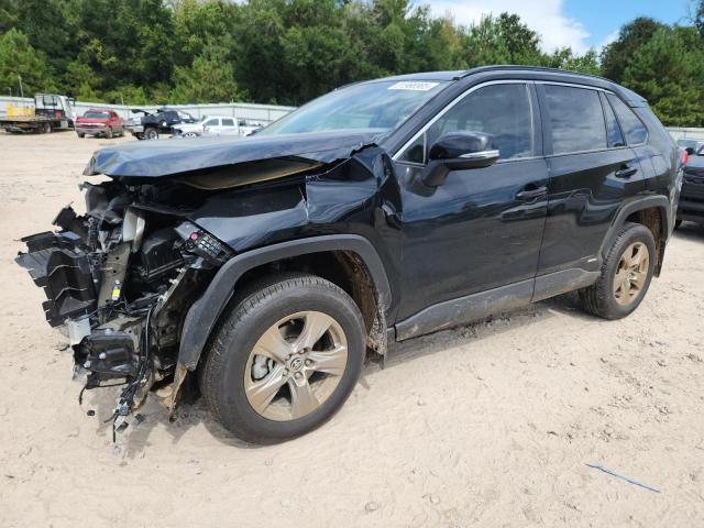 2025 TOYOTA RAV4 XLE, 