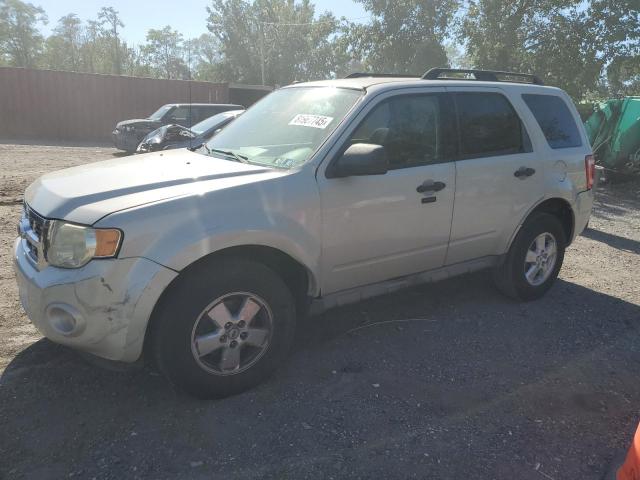 2009 FORD ESCAPE XLT, 