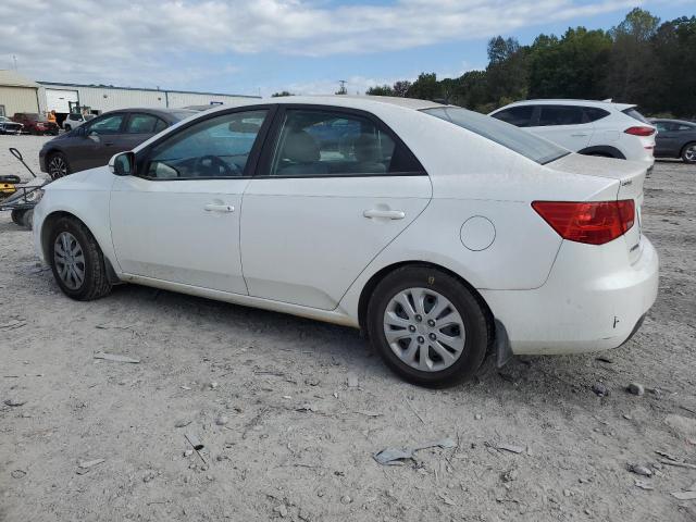 KNAFU4A2XD5682963 - 2013 KIA FORTE EX თეთრი ფოტო 2