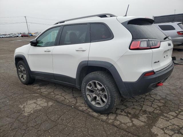 1C4PJMBX1LD517804 - 2020 JEEP CHEROKEE TRAILHAWK Ağ foto 2