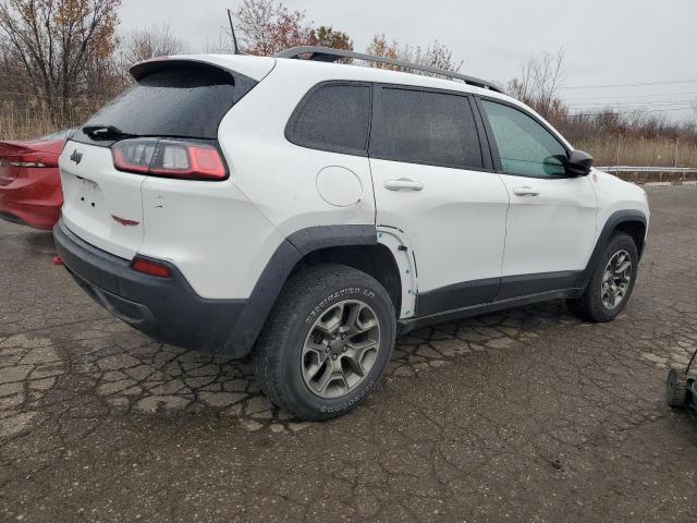 1C4PJMBX1LD517804 - 2020 JEEP CHEROKEE TRAILHAWK Ağ foto 3