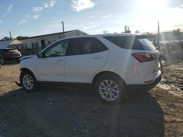 3GNAXHEV7KS562743 - 2019 CHEVROLET EQUINOX LS Ақ фото 2