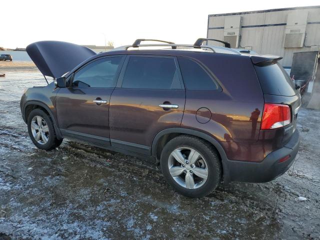 5XYKU4A29CG261355 - 2012 KIA SORENTO EX BROWN photo 2