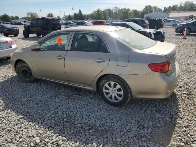 2T1BU4EE3AC486996 - 2010 TOYOTA COROLLA BASE Braun Foto 2