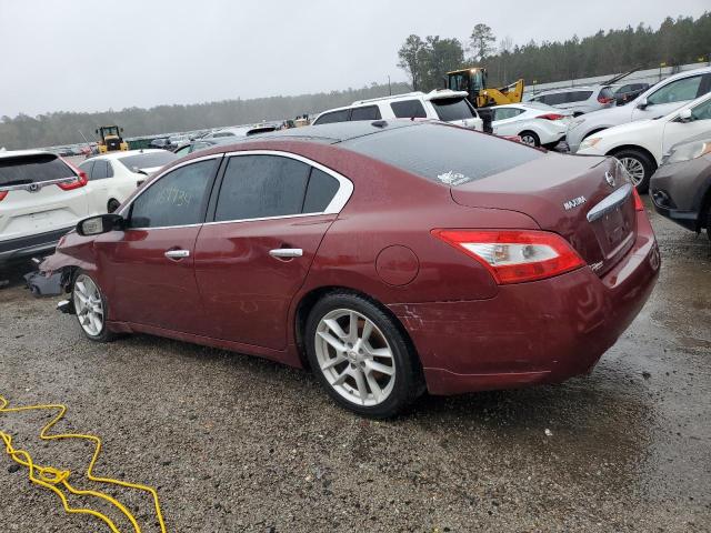 1N4AA5AP5BC826215 - 2011 NISSAN MAXIMA S BURGUNDY photo 2