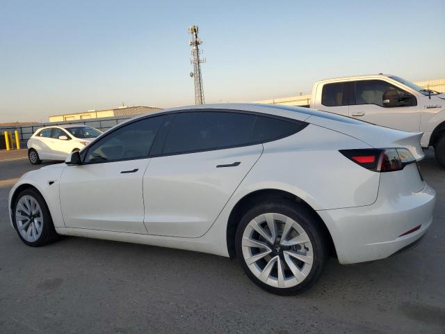 5YJ3E1EAXPF544846 - 2023 TESLA MODEL 3 Ağ foto 2