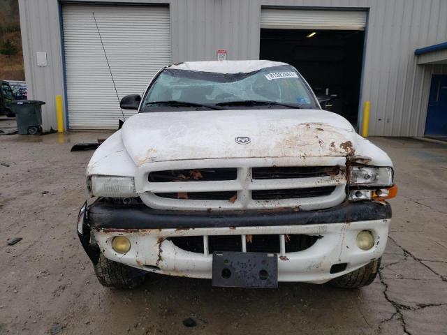 1B7GG26N31S113813 - 2001 DODGE DAKOTA WHITE photo 5