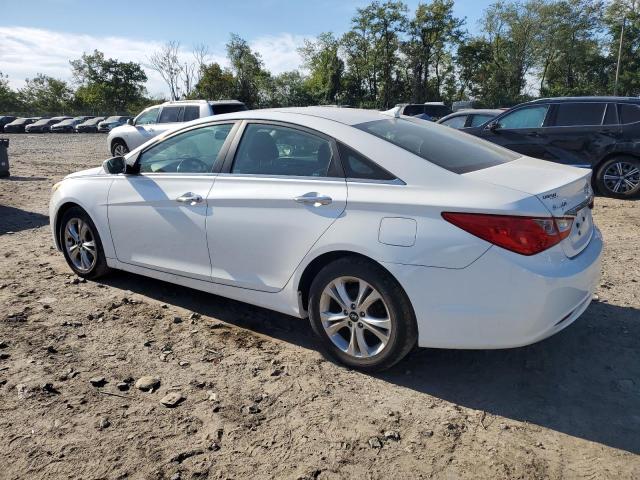 5NPEC4AC3BH305625 - 2011 HYUNDAI SONATA SE WHITE photo 2