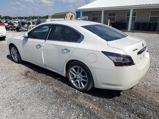 1N4AA5AP3DC818570 - 2013 NISSAN MAXIMA S 白色 照片 2