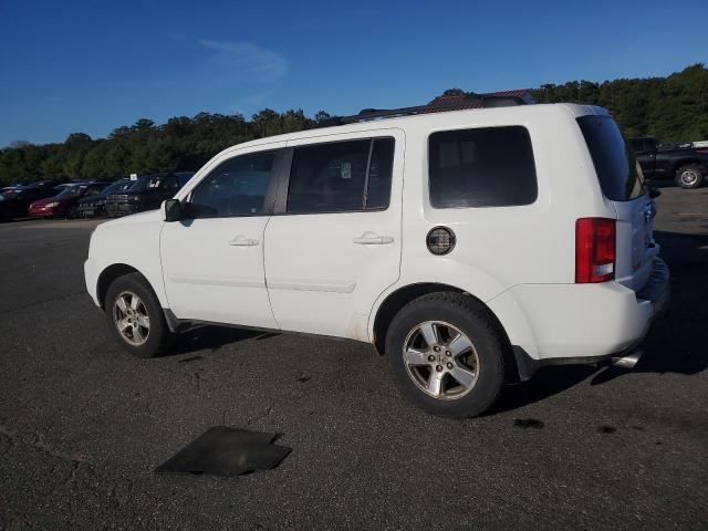 5FNYF4H56AB021687 - 2010 HONDA PILOT EXL Ağ foto 2