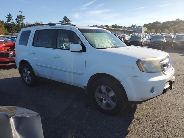 5FNYF4H56AB021687 - 2010 HONDA PILOT EXL Ağ foto 4