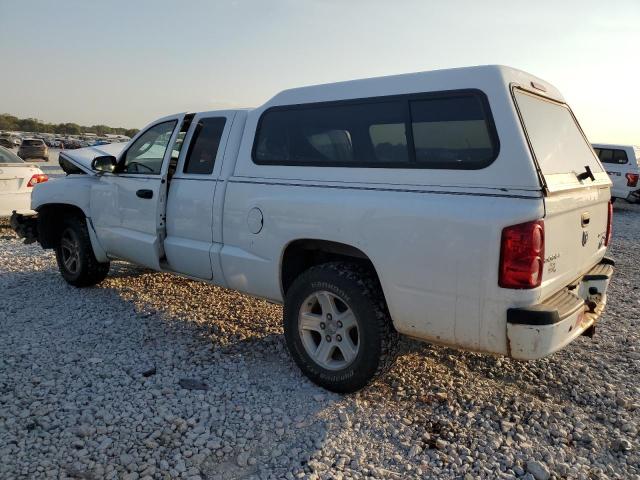 1D7RE3BK3BS606320 - 2011 DODGE DAKOTA SLT WHITE photo 2