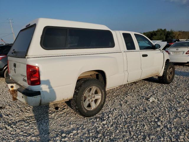 1D7RE3BK3BS606320 - 2011 DODGE DAKOTA SLT WHITE photo 3