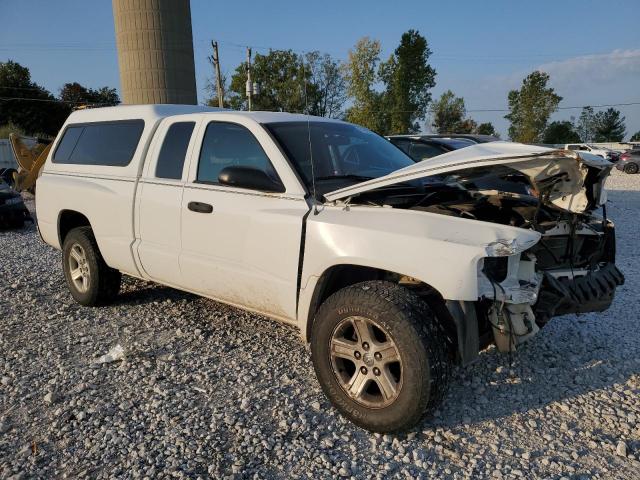 1D7RE3BK3BS606320 - 2011 DODGE DAKOTA SLT WHITE photo 4